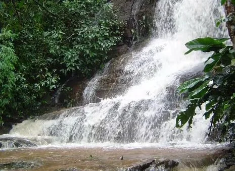 Cachoeira descendo pelas pedras no meio da mata